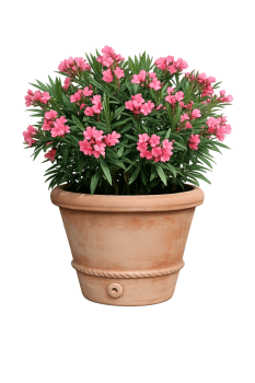 Preview: Klassischer, runder Terracottatopf aus Impruneta mit gedrehter Kordel